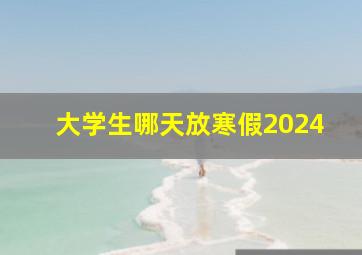 大学生哪天放寒假2024