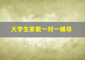 大学生家教一对一辅导