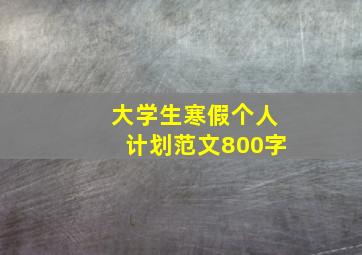 大学生寒假个人计划范文800字