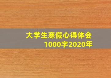 大学生寒假心得体会1000字2020年