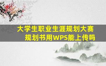 大学生职业生涯规划大赛规划书用WPS能上传吗