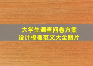 大学生调查问卷方案设计模板范文大全图片