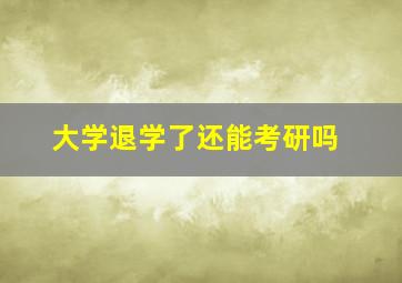 大学退学了还能考研吗