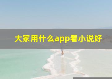 大家用什么app看小说好