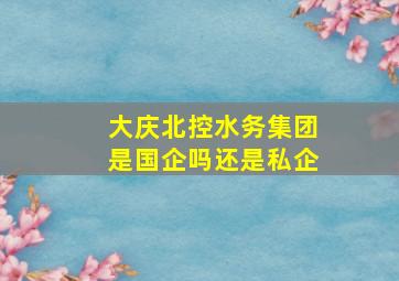 大庆北控水务集团是国企吗还是私企