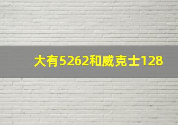 大有5262和威克士128