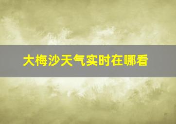 大梅沙天气实时在哪看