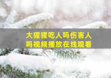 大猩猩吃人吗伤害人吗视频播放在线观看