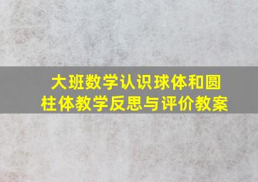 大班数学认识球体和圆柱体教学反思与评价教案