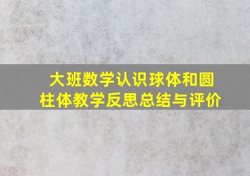 大班数学认识球体和圆柱体教学反思总结与评价