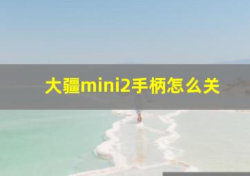 大疆mini2手柄怎么关