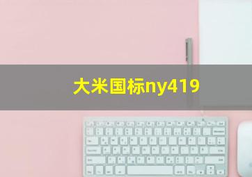 大米国标ny419