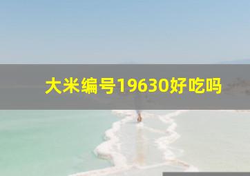 大米编号19630好吃吗