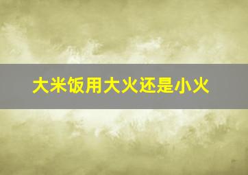 大米饭用大火还是小火