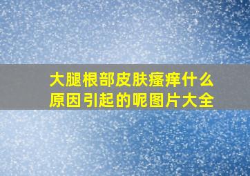 大腿根部皮肤瘙痒什么原因引起的呢图片大全