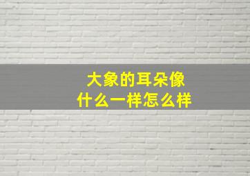 大象的耳朵像什么一样怎么样