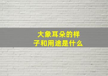 大象耳朵的样子和用途是什么