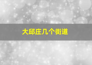 大邱庄几个街道