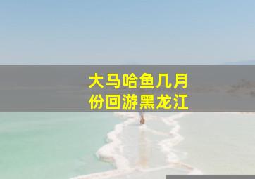 大马哈鱼几月份回游黑龙江