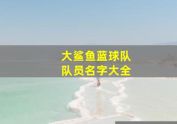 大鲨鱼蓝球队队员名字大全