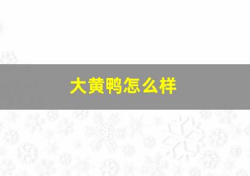 大黄鸭怎么样