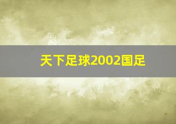 天下足球2002国足