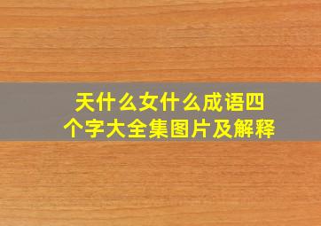 天什么女什么成语四个字大全集图片及解释