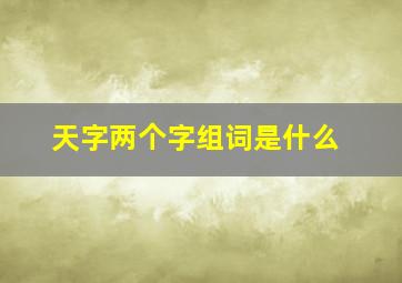 天字两个字组词是什么