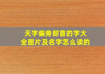 天字偏旁部首的字大全图片及名字怎么读的