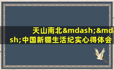 天山南北——中国新疆生活纪实心得体会