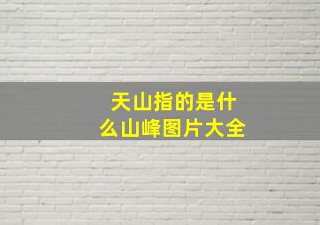 天山指的是什么山峰图片大全