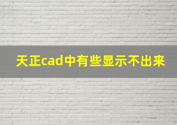 天正cad中有些显示不出来