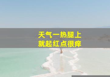 天气一热腿上就起红点很痒