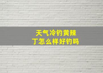 天气冷钓黄辣丁怎么样好钓吗