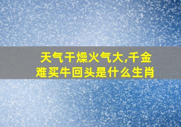 天气干燥火气大,千金难买牛回头是什么生肖