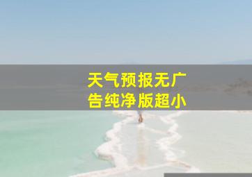 天气预报无广告纯净版超小