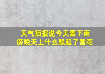 天气预报说今天要下雨傍晚天上什么飘起了雪花