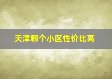 天津哪个小区性价比高