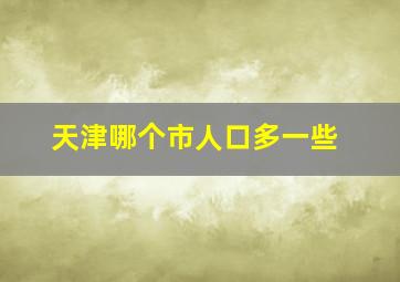 天津哪个市人口多一些