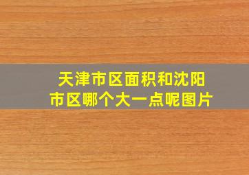 天津市区面积和沈阳市区哪个大一点呢图片