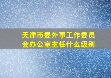 天津市委外事工作委员会办公室主任什么级别