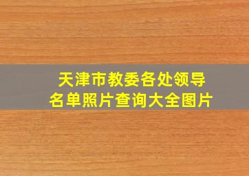 天津市教委各处领导名单照片查询大全图片