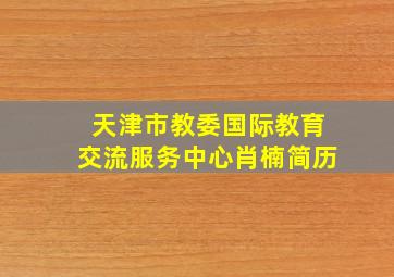 天津市教委国际教育交流服务中心肖楠简历