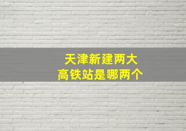 天津新建两大高铁站是哪两个