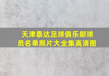 天津泰达足球俱乐部球员名单照片大全集高清图