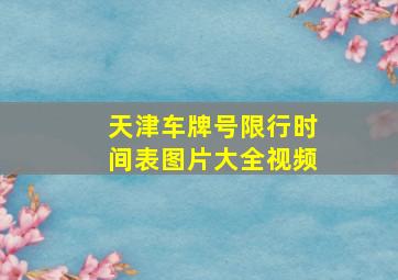 天津车牌号限行时间表图片大全视频