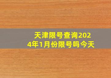 天津限号查询2024年1月份限号吗今天