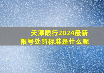 天津限行2024最新限号处罚标准是什么呢