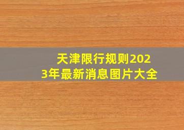 天津限行规则2023年最新消息图片大全