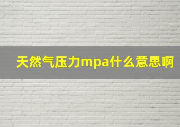 天然气压力mpa什么意思啊